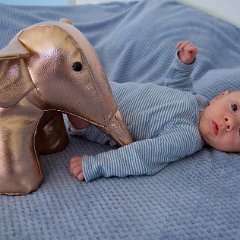 IMG 569